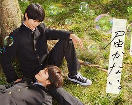 seo优化排名费用多少